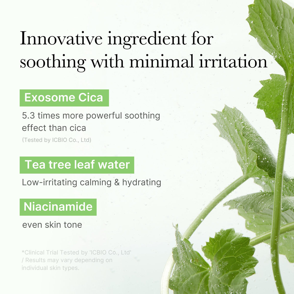 Exosome Cica Calming Toner Pads O4